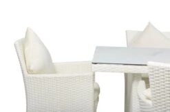 OUTFLEXX Dining Set, Weiß, Polyrattan, Tisch 200x95cm, Spraystone, 6mm, 6 Sessel -Ausgewählte Gartenmöbelgeschäfte 17 20670.jpg