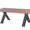 HARTMAN Xanadu Esstisch, Xerix, Alu / Teakholz, 220 X 100 Cm, X-Gestell -Ausgewählte Gartenmöbelgeschäfte 1 20405.jpg