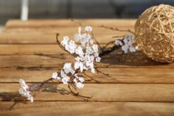 OUTFLEXX Vail Loungemöbel, Weiß/natur/actionlinen, Alu/FSC-Teakholz/Sunbrella, Für Bis Zu 7 Personen, Seitenablagen Aus Teak -Ausgewählte Gartenmöbelgeschäfte 22547 10.jpg