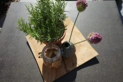 Ploß Rabida Dining Tisch, Champagner-meliert, Polyrattan, 90 X 90 Cm, Glasplatte In Steinoptik -Ausgewählte Gartenmöbelgeschäfte 4 20166.jpg